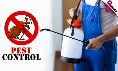 Professional Pest Control Services!
